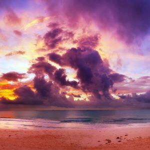 Meet your Posher, Shellee